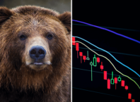 medvedí trh pokles